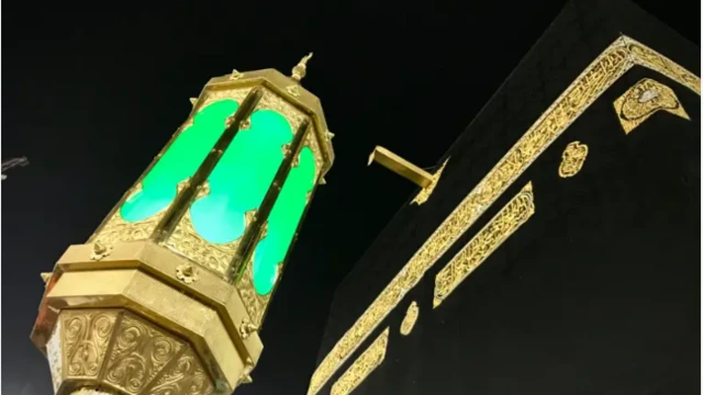 Vaginadan qanday foydalanish kerak