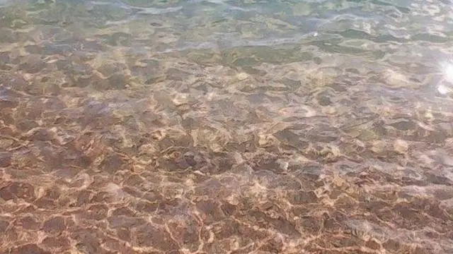 Атайын жабдылган кемедеги изилдөөнүн алгачкы жыйынтыктары суу таза деп көрсөттү.