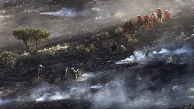 آتش سوزی تیک در شمال لس آنجلس تاکنون ۲۵ درصد مهار شده و مردم به خانه هایشان برگشته اند