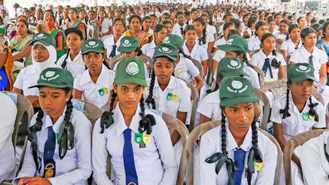 ගස් කැපීමට මගේ අනුමැතිය ගත යුතුයි - ජනාධිපති