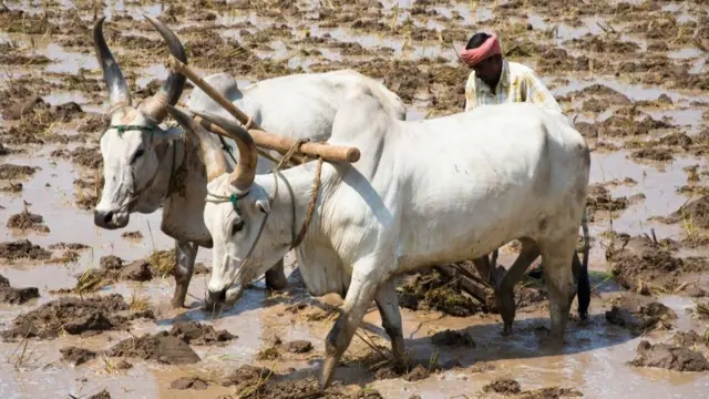 விவசாயி
