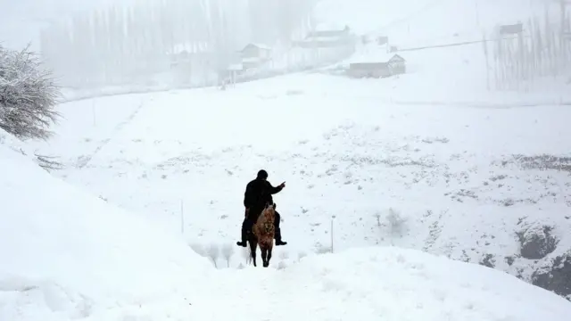 બુઝકશી, ઉઝબેકિસ્તાન