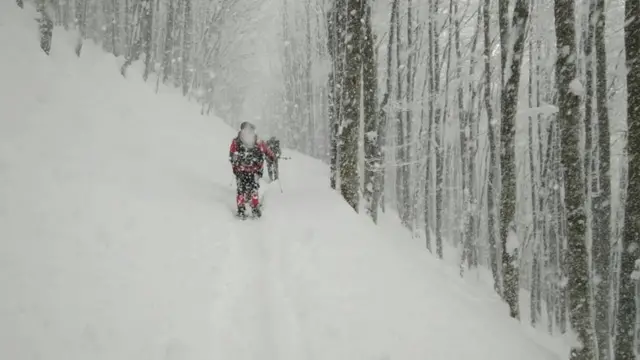 Лижники у снігу