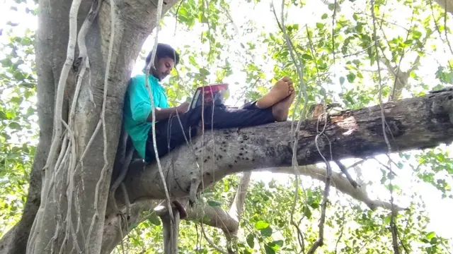 மரத்தில் ஏறி ஆன்லைன் வகுப்பில் கலந்துகொள்ளும் மாணவர்கள்.