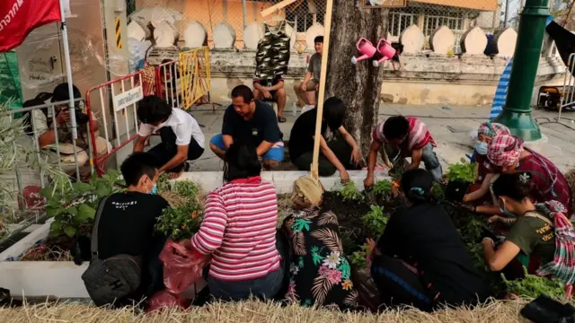 ชาวบ้านบางกลอยที่มาชุมนุมในกรุงเทพฯ ทำแปลงผักสวนครัว