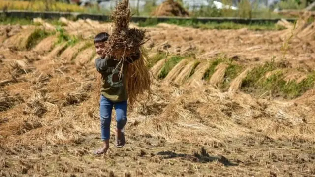 शेतकरी, कृषी विधेयक