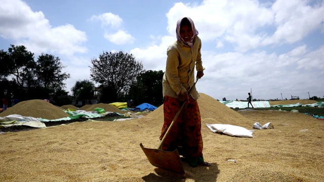 వ్యవసాయం, తెలంగాణ