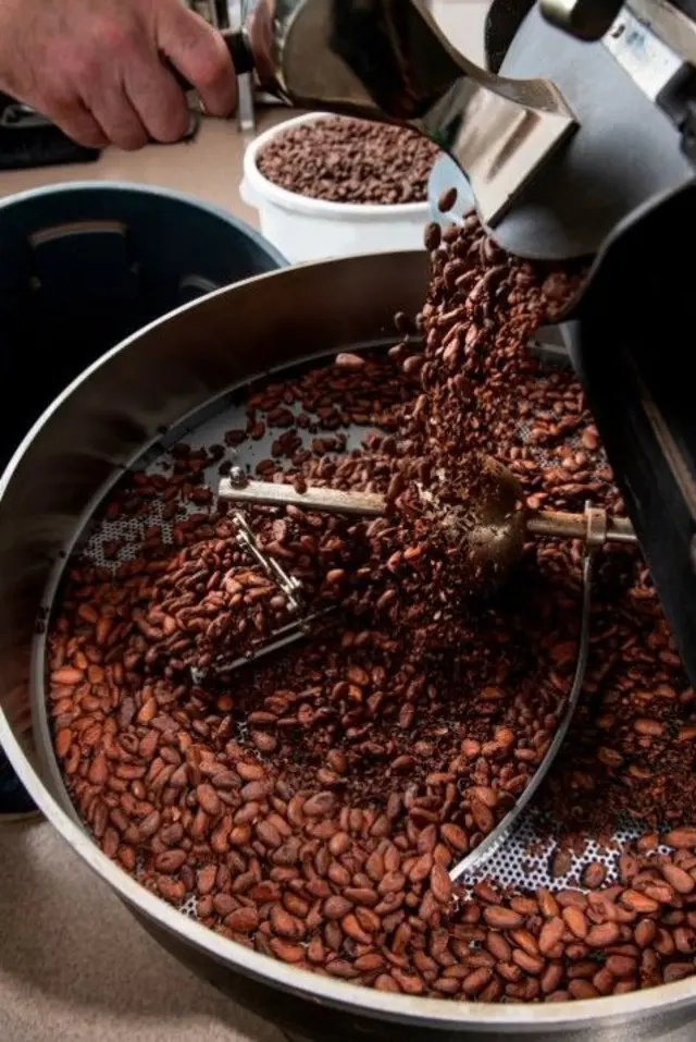 حبوب كاكاو تحمص في ماكينة، ويد لونها حنطي تمسك بأداة التحميص. الحبوب لونها بني والماكينة تبدو من معدن الألمنيوم. 