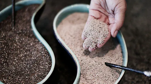 Mão mostra sementes de chia retiradas de recipientes plásticos para a câmera