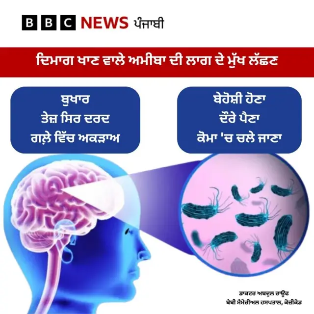 ਦਿਮਾਗ਼ ਖਾਣ ਵਾਲਾ ਅਮੀਬਾ