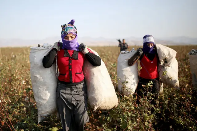 પ્રતીકાત્મક તસવીર