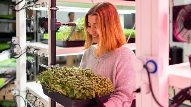 Mulher carrega uma cesta com plantasnao estou conseguindo sacar no galera betum laboratório