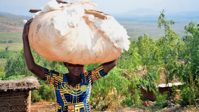Abarimyi b'ipampa basaba ko badugirizwa agahembo basanzwe bahabwa