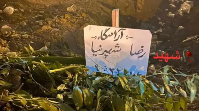 محل دفن رضا شهپرنیا
