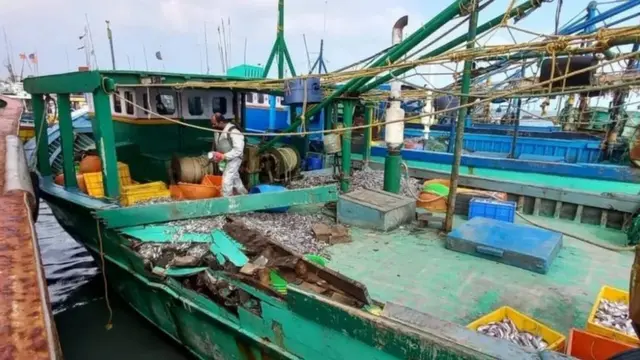 படகுகள்