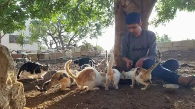 شام، کفرنبل، بلیاں