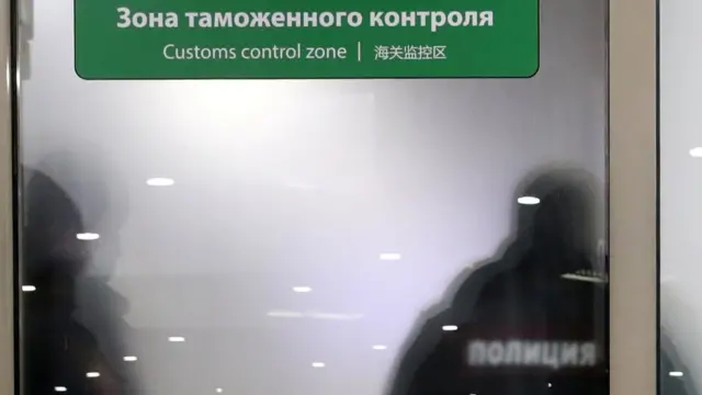 Полиция в аэропорту Шереметьево