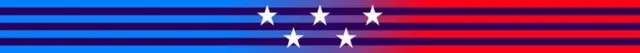 US election banner