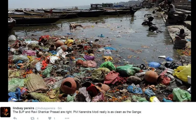 लिंडसे परेरा का ट्वीट