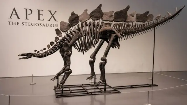 Fosil dinosaurusa