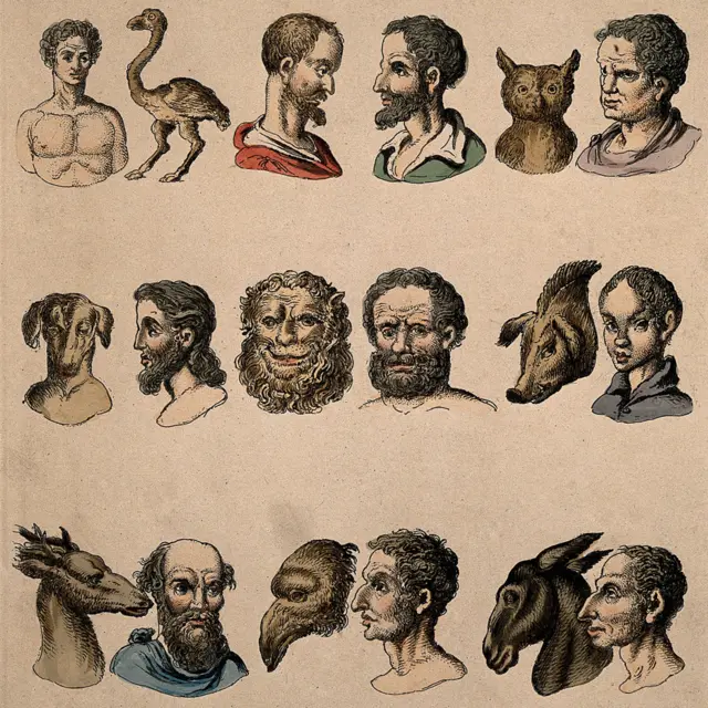 Fisiognomías Humanas junto a Fisiognomías Animales