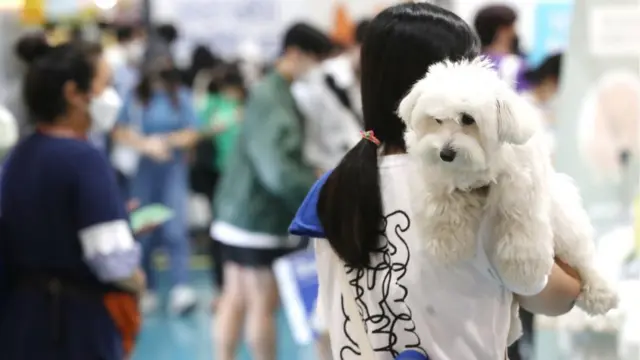 개를 안고 있는 여성