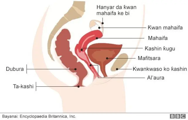 tsarin mahaifar mace