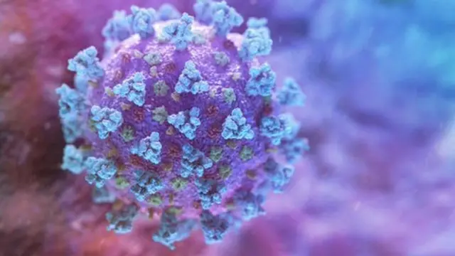 Kokoro arun Coronavirus