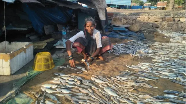 మత్స్యకార మహిళ