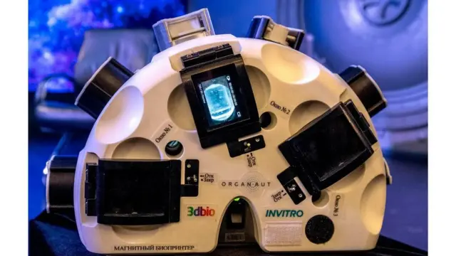 تجرى تجارب على إمكانية رفع الأنسجة لتطفو في مجال مغناطيسي أثناء النمو