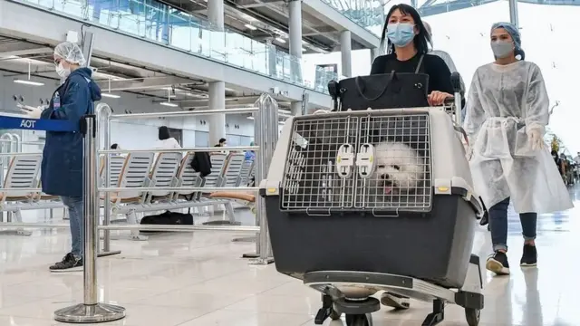 ท่าอากาศยานสุวรรณภูมิ