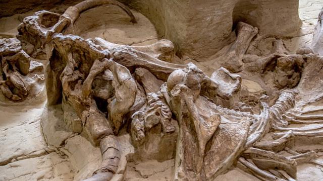 Huesos de mamut