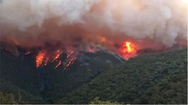 ఆస్ట్రేలియా కార్చిచ్చు