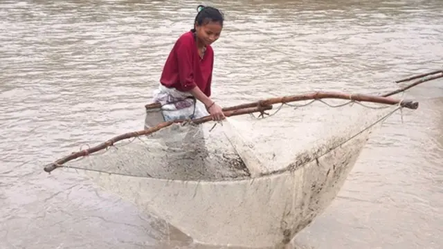 कञ्चनपुरको शुक्लाफाँटा नगरपालिकाको सनवोरा नदीमा बाढी आएको बेलामा माछा मार्न जाल थाप्दै एक थारु महिला ।