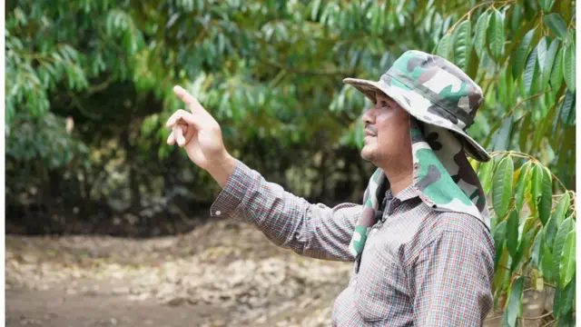 Tappanai Boonbandit/BBC thai