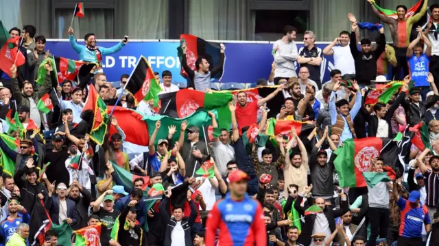 کریکت