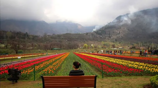 కశ్మీర్