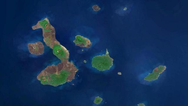 加拉帕戈斯群島