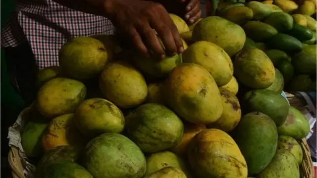 'বৃষ্টিপাতের কারণে আম উৎপাদনের লক্ষ্যমাত্রা অর্জনে কোন সমস্যা হবেনা।'