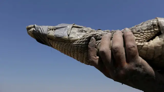 प्राग्वे में पिक्लोमेयो नदी के आस-पास पड़ा सूखा