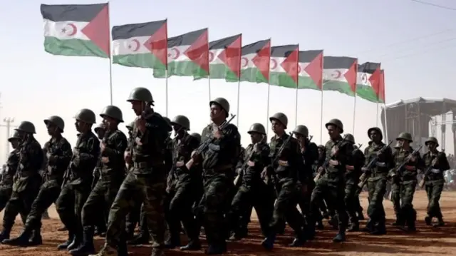 جبهة البوليساريو