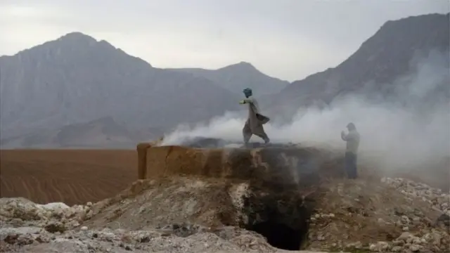 अफगाणिस्तान, तालिबान