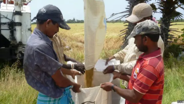 'රජයේ පොහොර සහනාධාරය ප්‍රමාදයි'