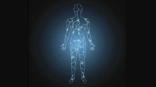 Qué Es El Electroma La Red Bioeléctrica Del Cuerpo Humano Que Los Científicos Apenas 7972