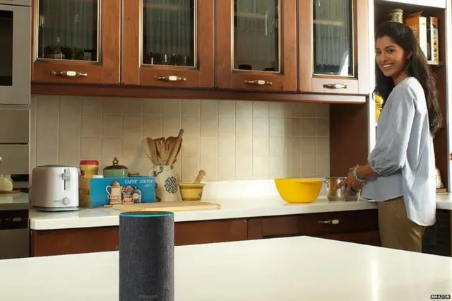 अॅमझॉन अॅलेक्सावर काम करणारा Echo