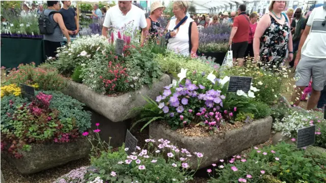 Rock Garden