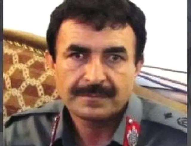 پلاوی