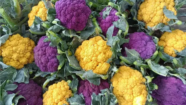 রঙিন ফুলকপি