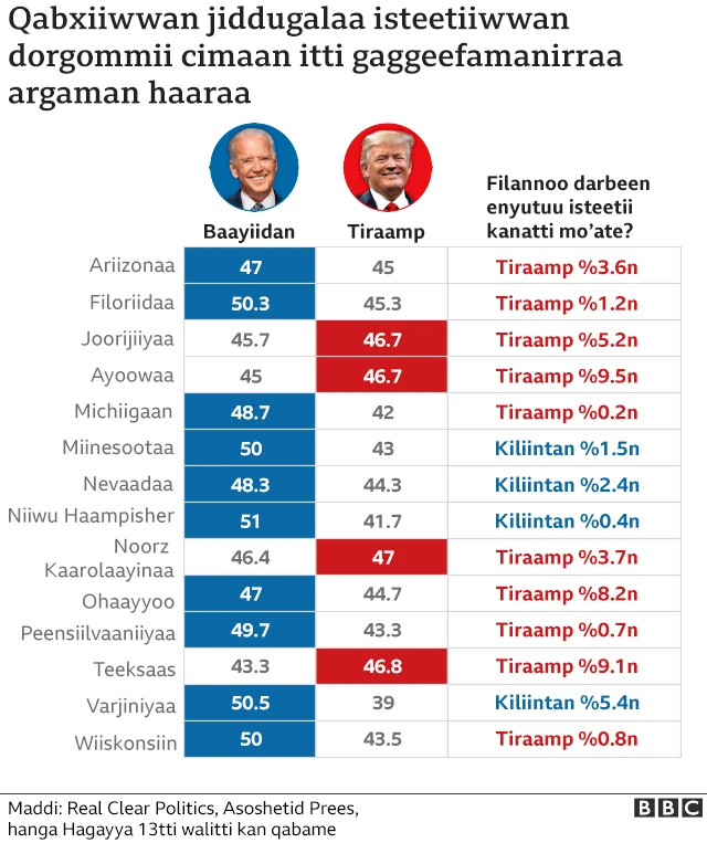 Bakka dorgommii cimaan keessatti aggeefamu