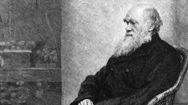 查尔斯·达尔文